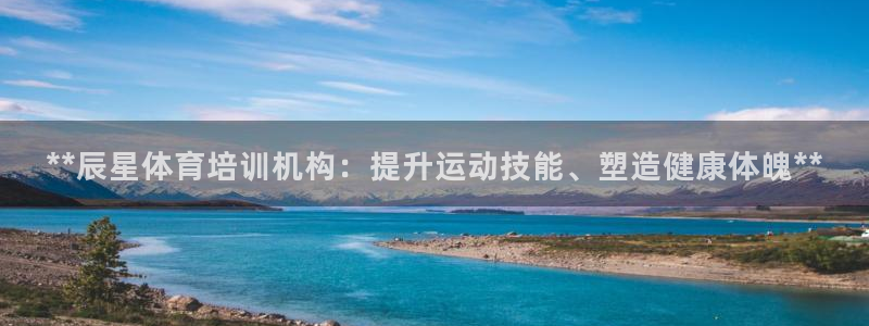 凯时K8国际：**辰星体育培训机构：提升运动技能、塑
