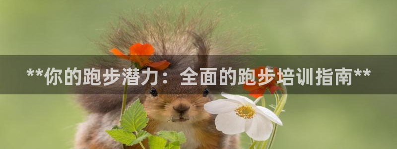 尊龙凯时品牌介绍：**你的跑步潜力：全面的跑步培训指