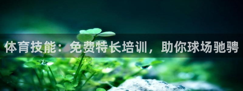 尊龙凯时-人生就是博中国官网最新：体育技能：免费特长