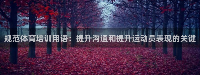 尊龙凯时一人生就是博官网：规范体育培训用语：提升沟通