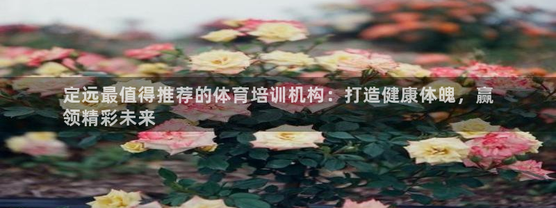 尊龙凯时几百万怎么下款：定远最值得推荐的体育培训机构