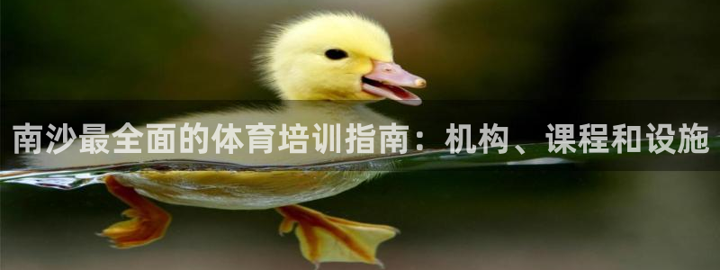 尊龙z6：南沙最全面的体育培训指南：机构、课程和设施