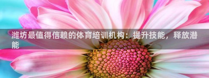 尊龙ag旗舰厅登陆：潍坊最值得信赖的体育培训机构：提