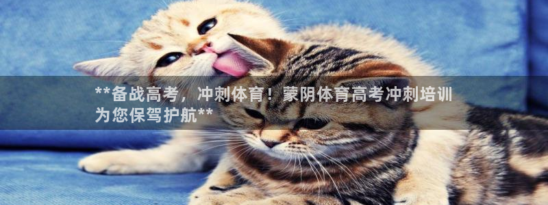 凯时尊龙app国际官方网站：**备战高考，冲刺体育！