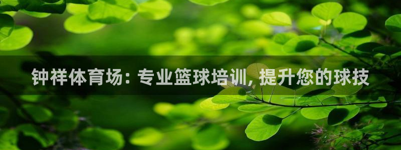 尊龙手机官方客户端下载安卓：钟祥体育场: 专业篮球培