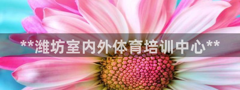 尊龙凯时人生就是搏z6com：**潍坊室内外体育培训