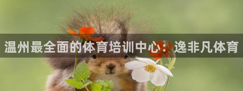 尊龙网址是多少：温州最全面的体育培训中心：逸非凡体育