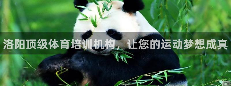 凯时是AG优质运营商：洛阳顶级体育培训机构，让您的运