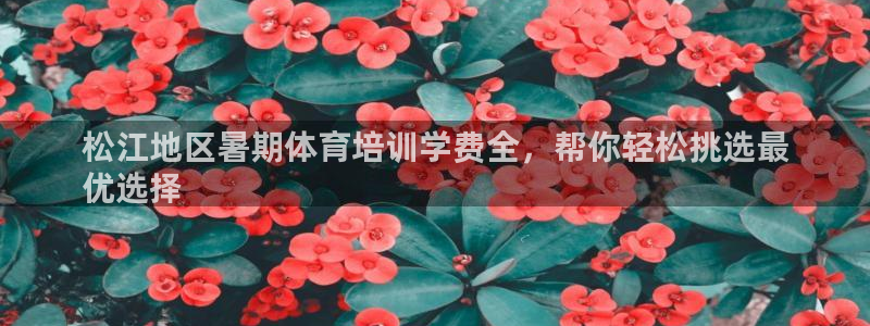 尊龙凯时官方网站：松江地区暑期体育培训学费全，帮你轻