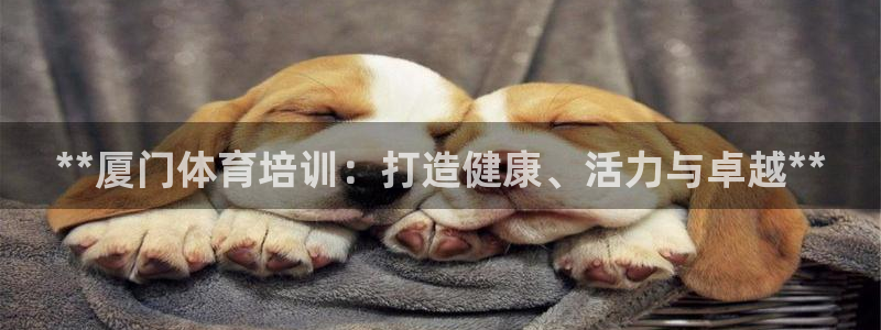 尊龙人生就是-首页(中国)有限公司：**厦门体育培训