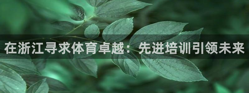 尊龙凯时是正规平台吗：在浙江寻求体育卓越：先进培训引