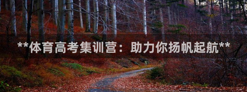 尊龙z6集团：**体育高考集训营：助力你扬帆起航**