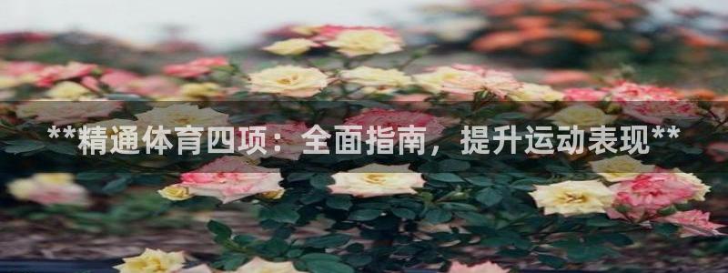 d88尊龙凯时：**精通体育四项：全面指南，提升运动