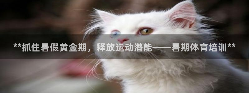 尊龙凯时网：**抓住暑假黄金期，释放运动潜能——暑期
