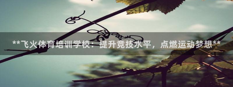 尊龙人生就是博官网登录手机：**飞火体育培训学校：提