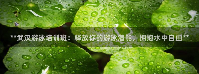 尊龙手机官方客户端下载：**武汉游泳培训班：释放你的