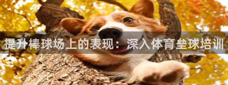 尊龙人生就是博D88：提升棒球场上的表现：深入体育垒