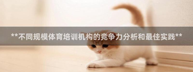 尊龙凯时游戏厅：**不同规模体育培训机构的竞争力分析