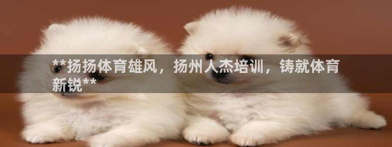 凯时AG网：**扬扬体育雄风，扬州人杰培训，铸就体育
