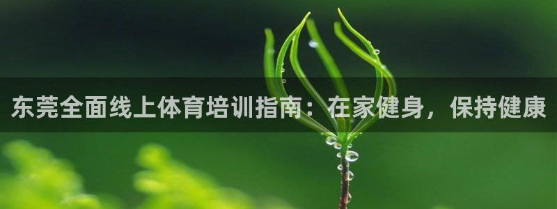 尊龙凯时投诉最狠的方法：东莞全面线上体育培训指南：在