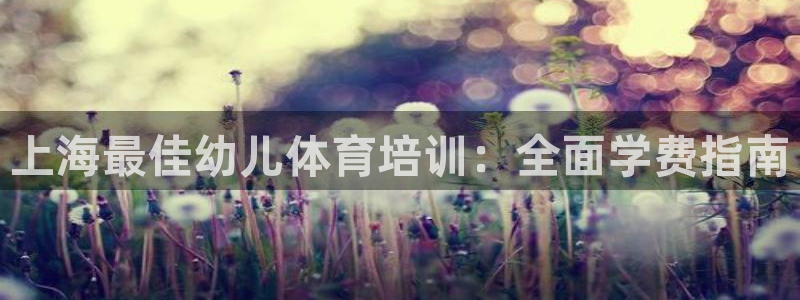 尊龙d88官网登录：上海最佳幼儿体育培训：全面学费指