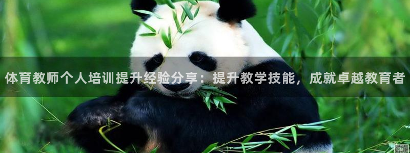 尊龙凯时平台怎么样：体育教师个人培训提升经验分享：提
