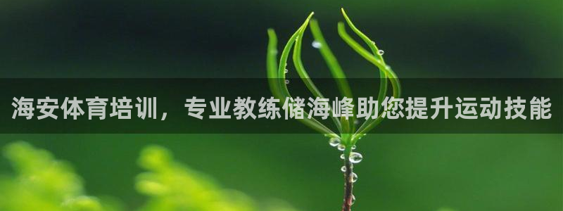 凯时游戏官方网站：海安体育培训，专业教练储海峰助您提