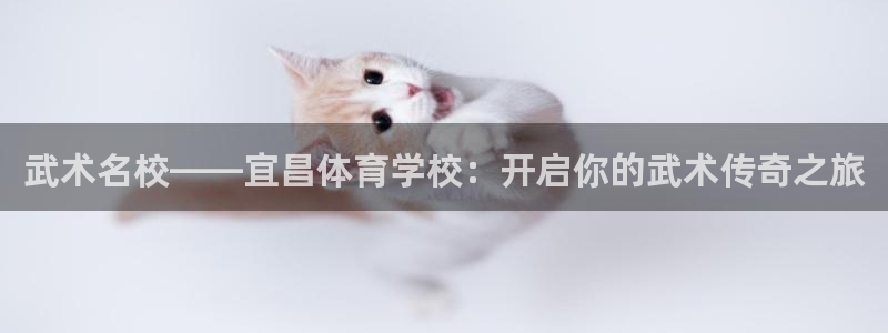 尊龙凯时 人生就是搏!：武术名校——宜昌体育学校：开