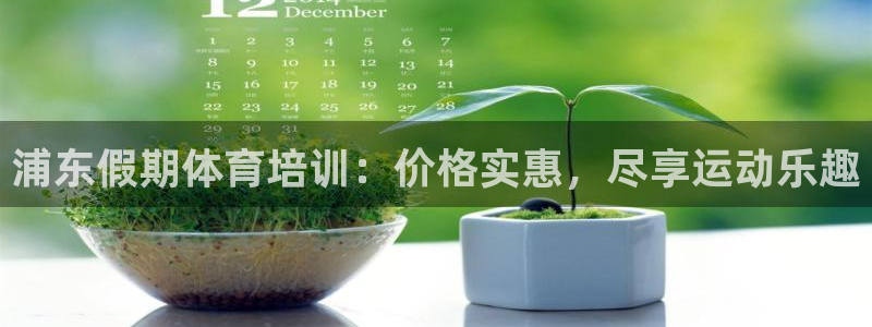 ZL尊龙凯时集团：浦东假期体育培训：价格实惠，尽享运