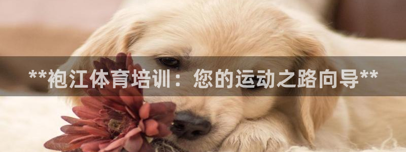 尊龙ktv怎么样：**袍江体育培训：您的运动之路向导