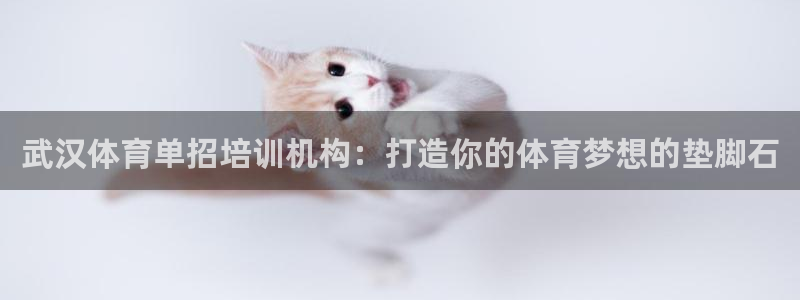 尊龙-人生就是博!：武汉体育单招培训机构：打造你的体