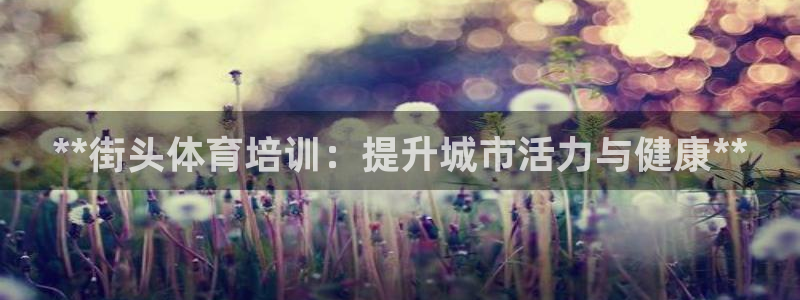 尊龙游戏官网游戏特色：**街头体育培训：提升城市活力