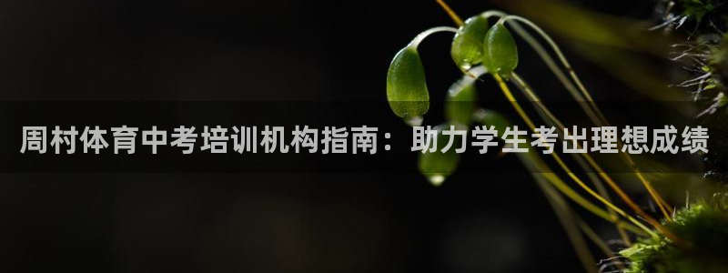 尊龙凯时：周村体育中考培训机构指南：助力学生考出理想