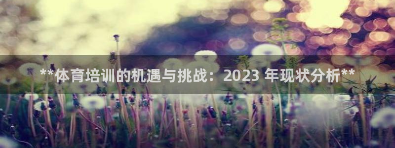 尊龙平台有谁玩过：**体育培训的机遇与挑战：2023