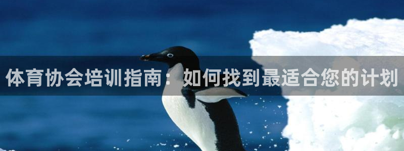 尊龙凯时平台不给出款怎么办：体育协会培训指南：如何找