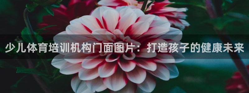 尊龙服饰品牌介绍：少儿体育培训机构门面图片：打造孩子