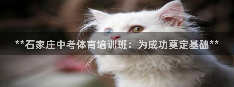 尊龙人生就是博登录准认来就送38：**石家庄中考体育