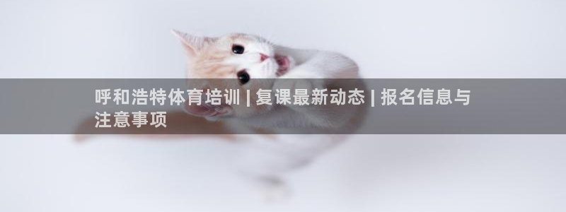 尊龙凯时网站网址：呼和浩特体育培训 | 复课最新动态
