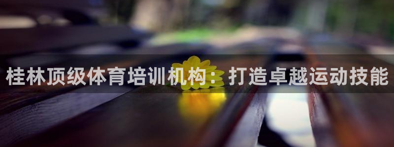 凯时尊龙官网网址：桂林顶级体育培训机构：打造卓越运动