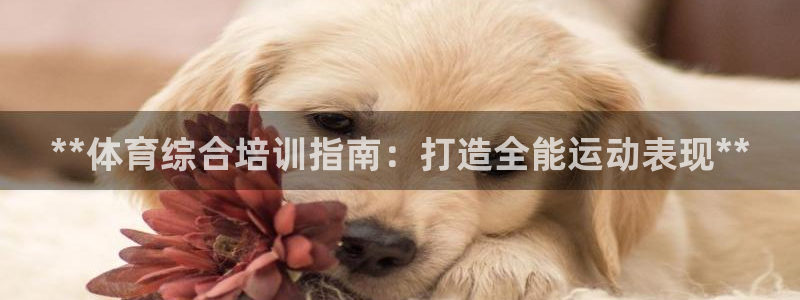 尊龙专访：**体育综合培训指南：打造全能运动表现**