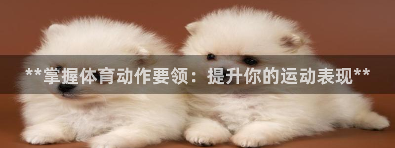 有人在凯时赢过钱吗：**掌握体育动作要领：提升你的运