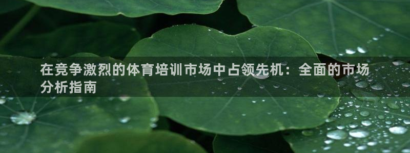 尊龙凯时提不了款：在竞争激烈的体育培训市场中占领先机