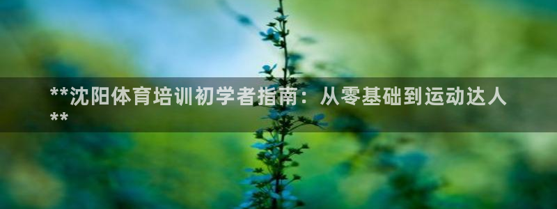 凯时kb88会员登录：**沈阳体育培训初学者指南：从