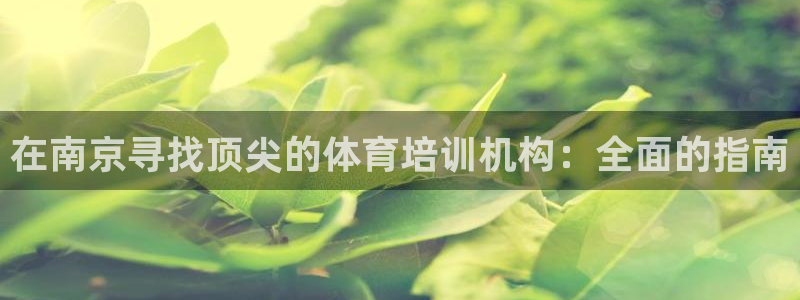 尊龙d88ag旗舰厅：在南京寻找顶尖的体育培训机构：