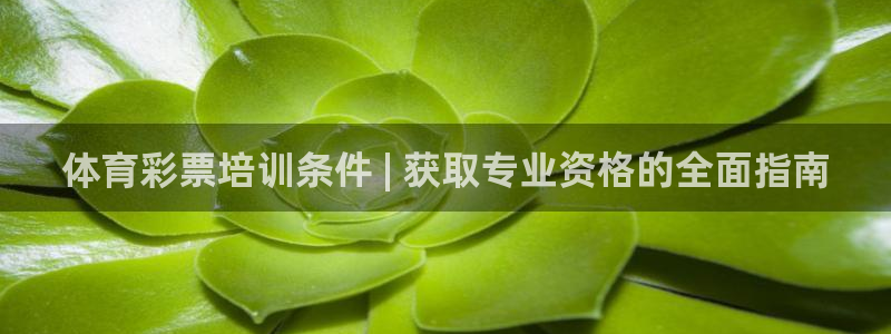 尊龙凯时v7要冲多少：体育彩票培训条件 | 获取专业