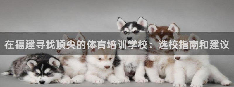 尊龙凯时总部在哪里：在福建寻找顶尖的体育培训学校：选