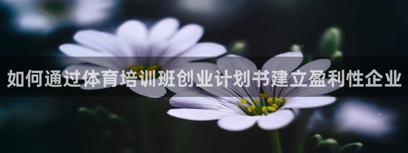 凯时平台app：如何通过体育培训班创业计划书建立盈利