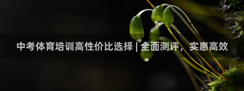 尊龙旗舰厅app：中考体育培训高性价比选择 | 全面