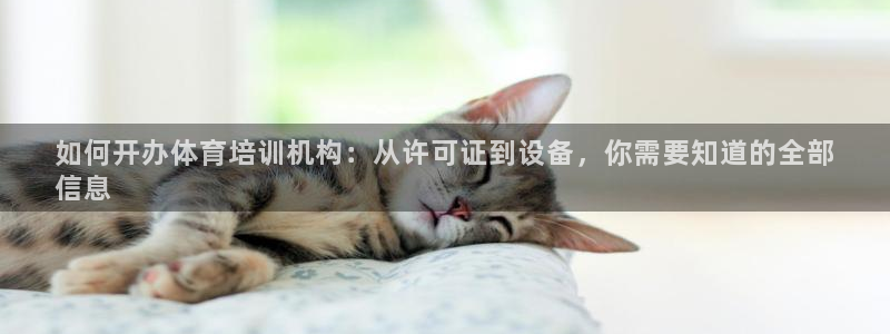 尊龙凯时网娱乐官网：如何开办体育培训机构：从许可证到