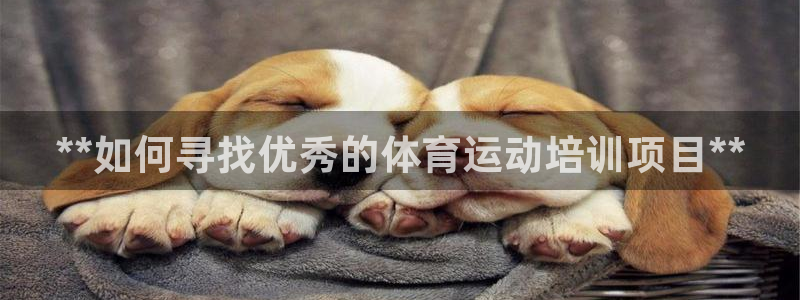 agz6尊龙凯时集团：**如何寻找优秀的体育运动培训项目**